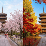 Japan Autum Vs Spring